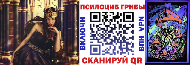 купить   Иркутск  Псилоцибиновые грибы Psilocybe 
